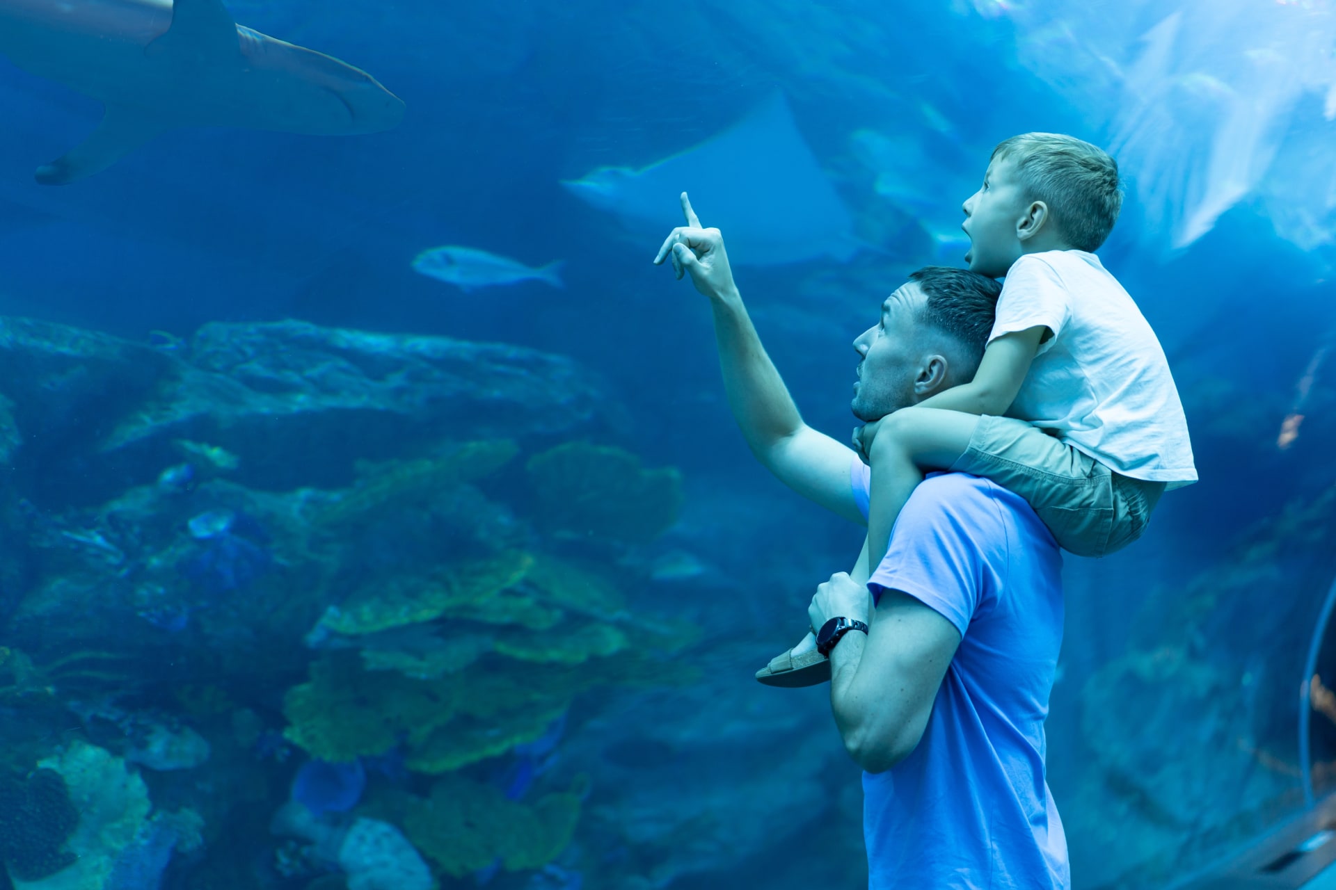 Father and Son at SEA LIFE Orlando