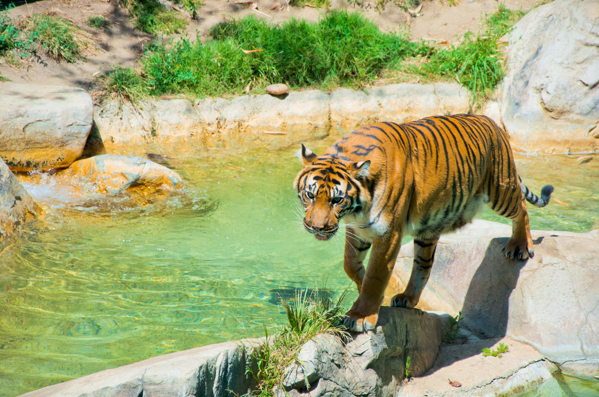 LA Zoo
