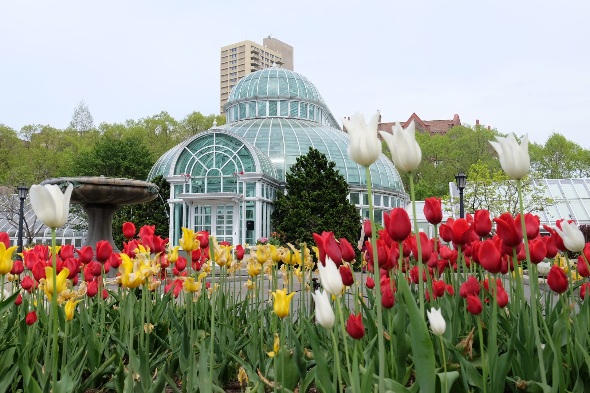 high-angle-aerial-view-over-brooklyn-botanic-garden