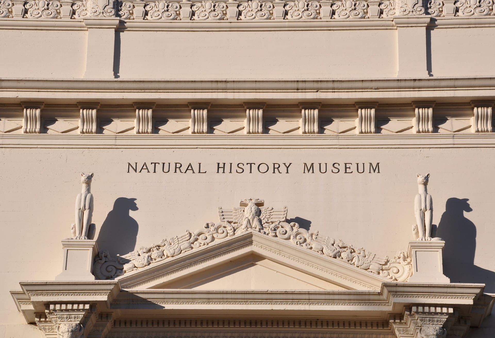 front-natural-history-museum-building-balboa