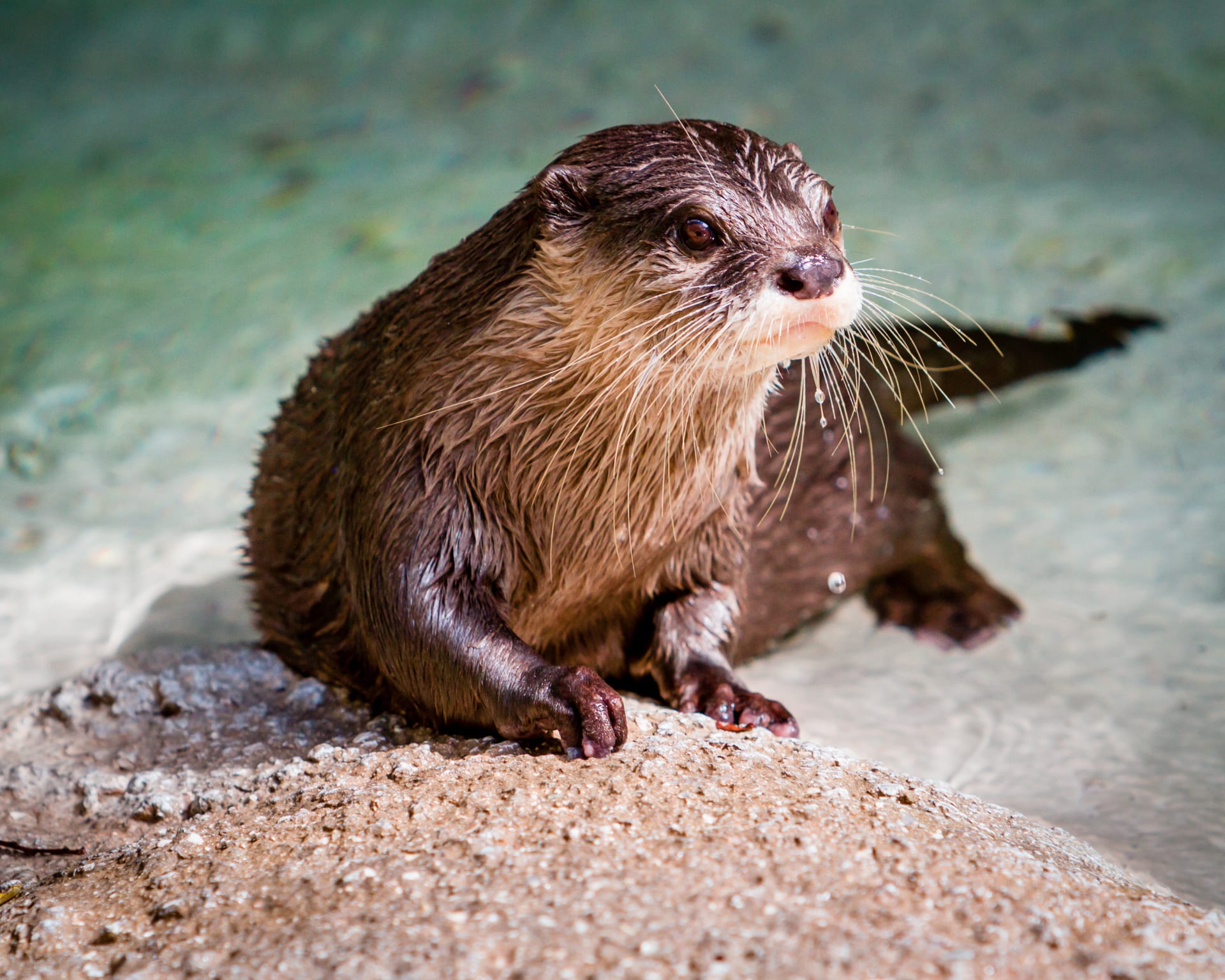 young-girl-black-sunglasses-striped-top