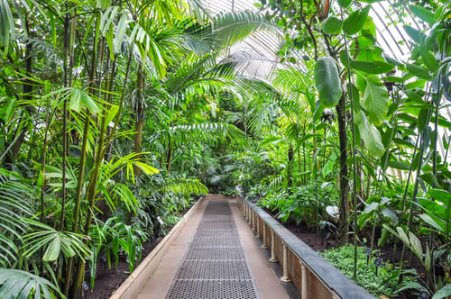 キューガーデンの温室
