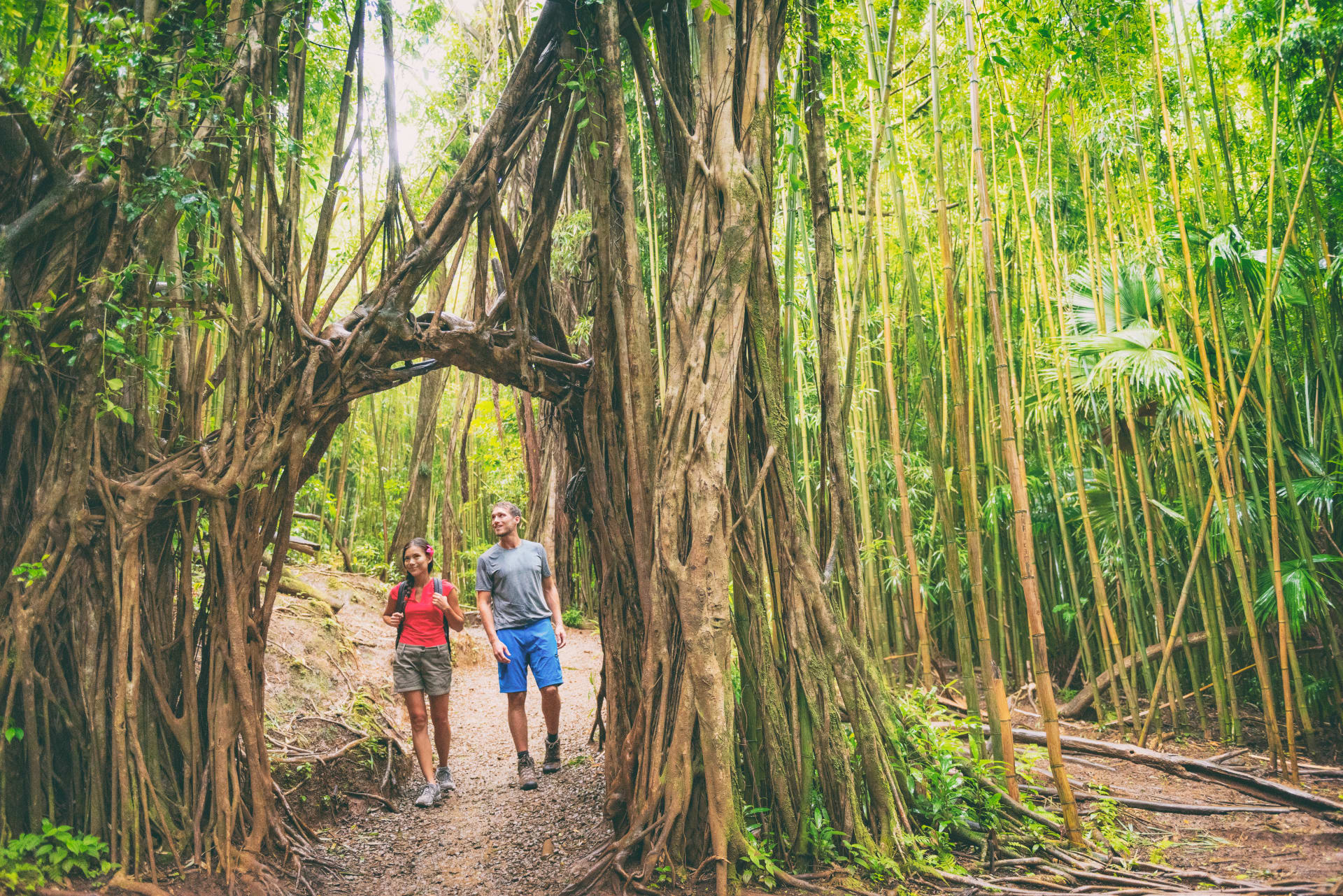 Hiking in Oahu