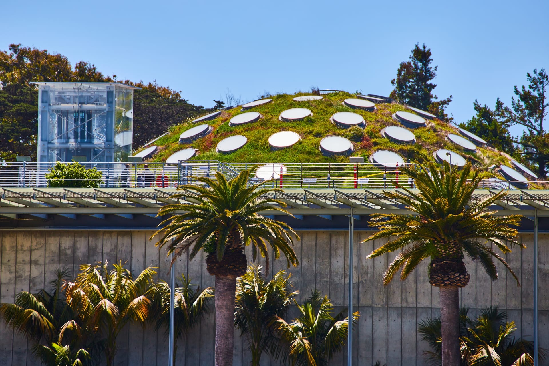california-academy-of-sciences