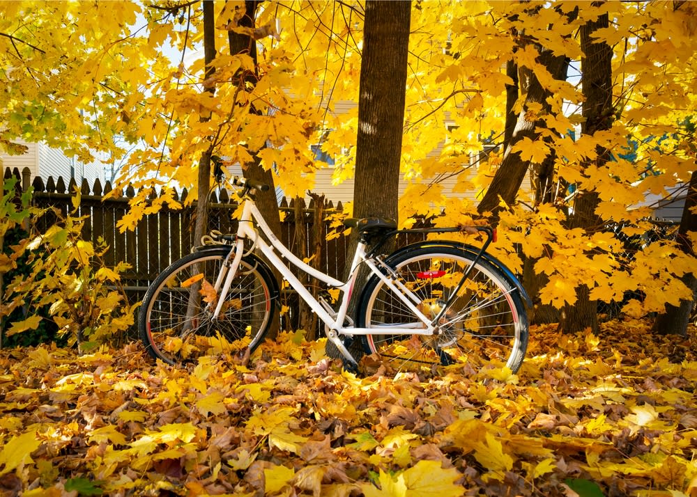 Boston fall bike ride