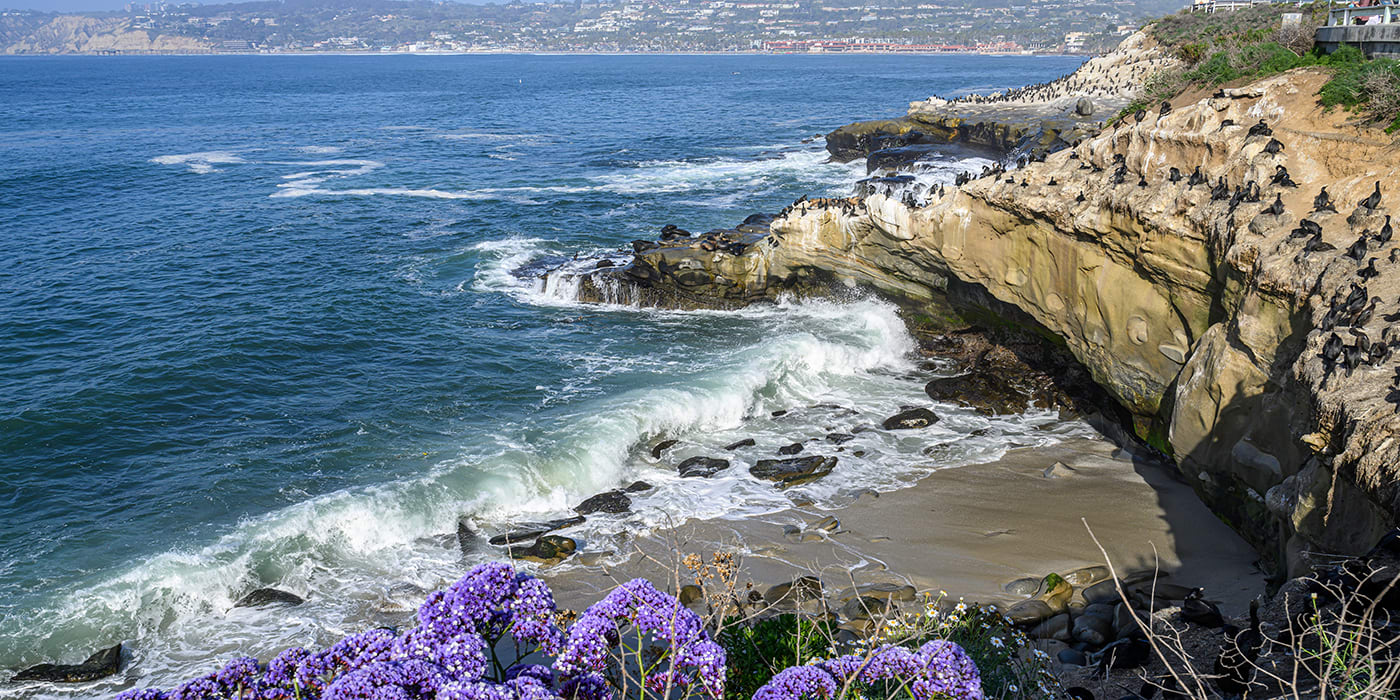 Küste von La Jolla, San Diego