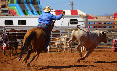 Tejan Rodeo
