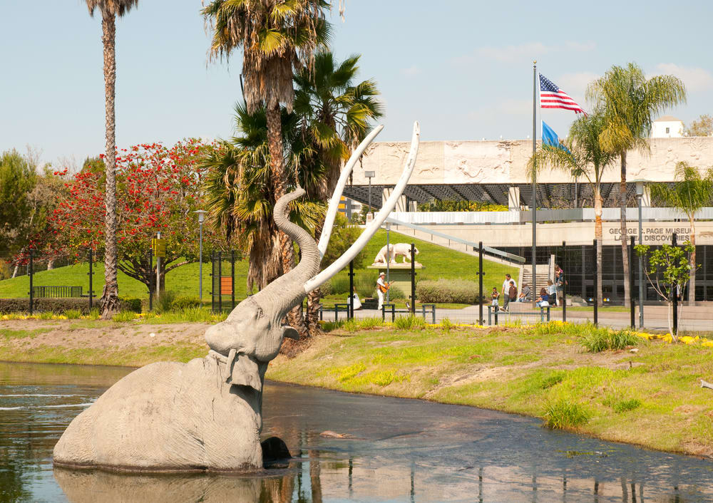 La Brea tar museum