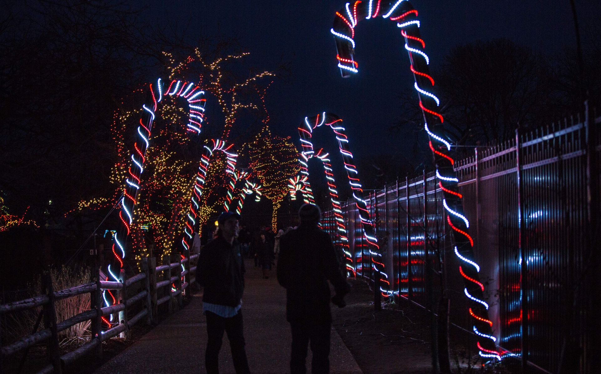 Weihnachtsbeleuchtung