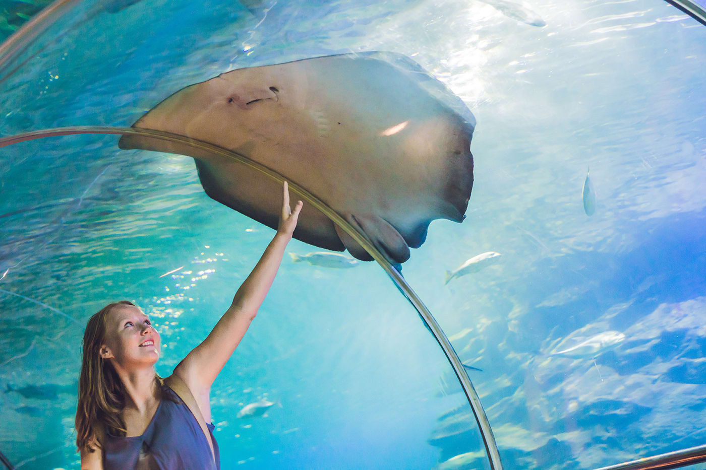 Eine junge Frau berührt einen Rochen im Unterwassertunnel
