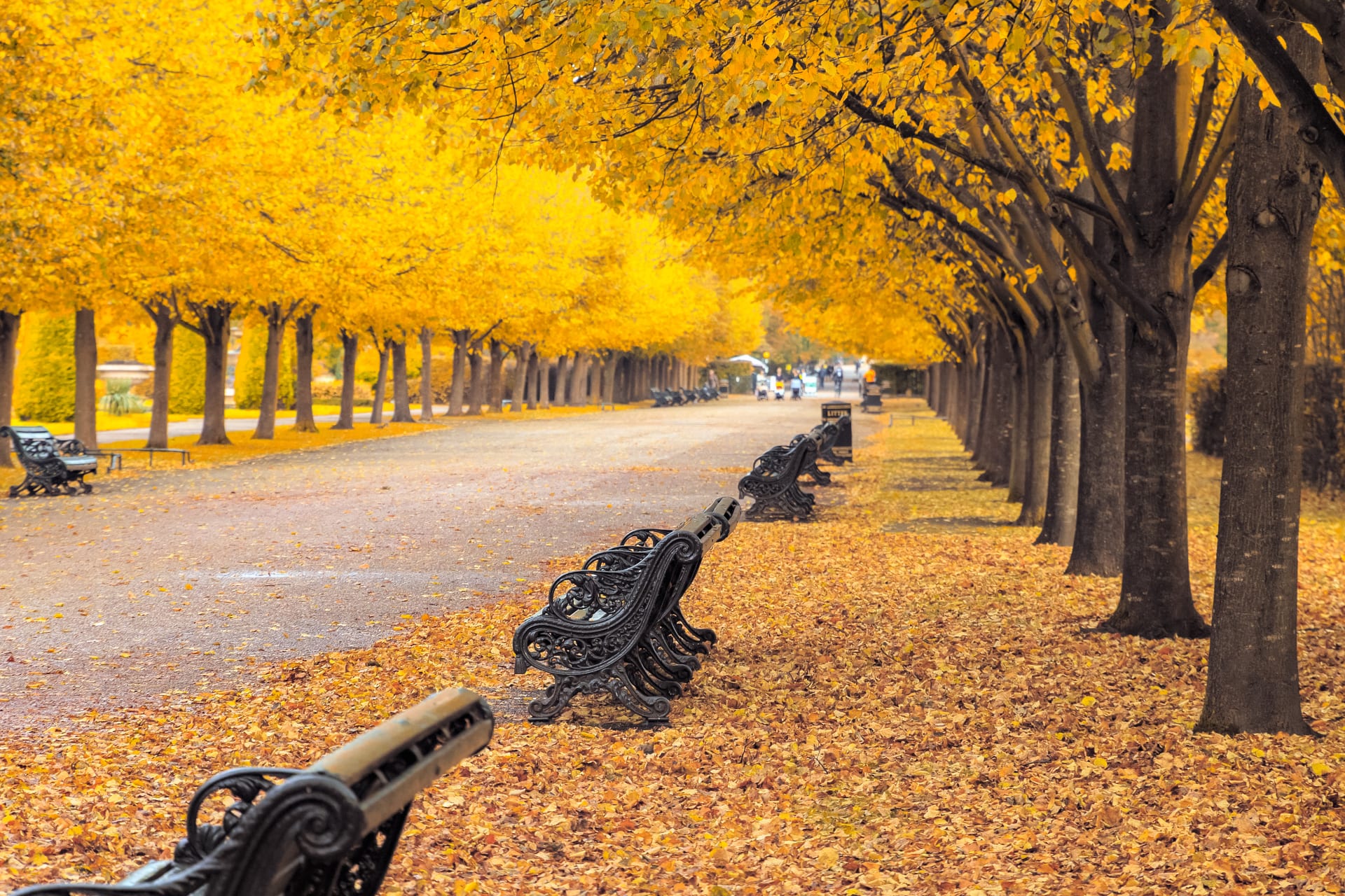 Hyde Park em Londres