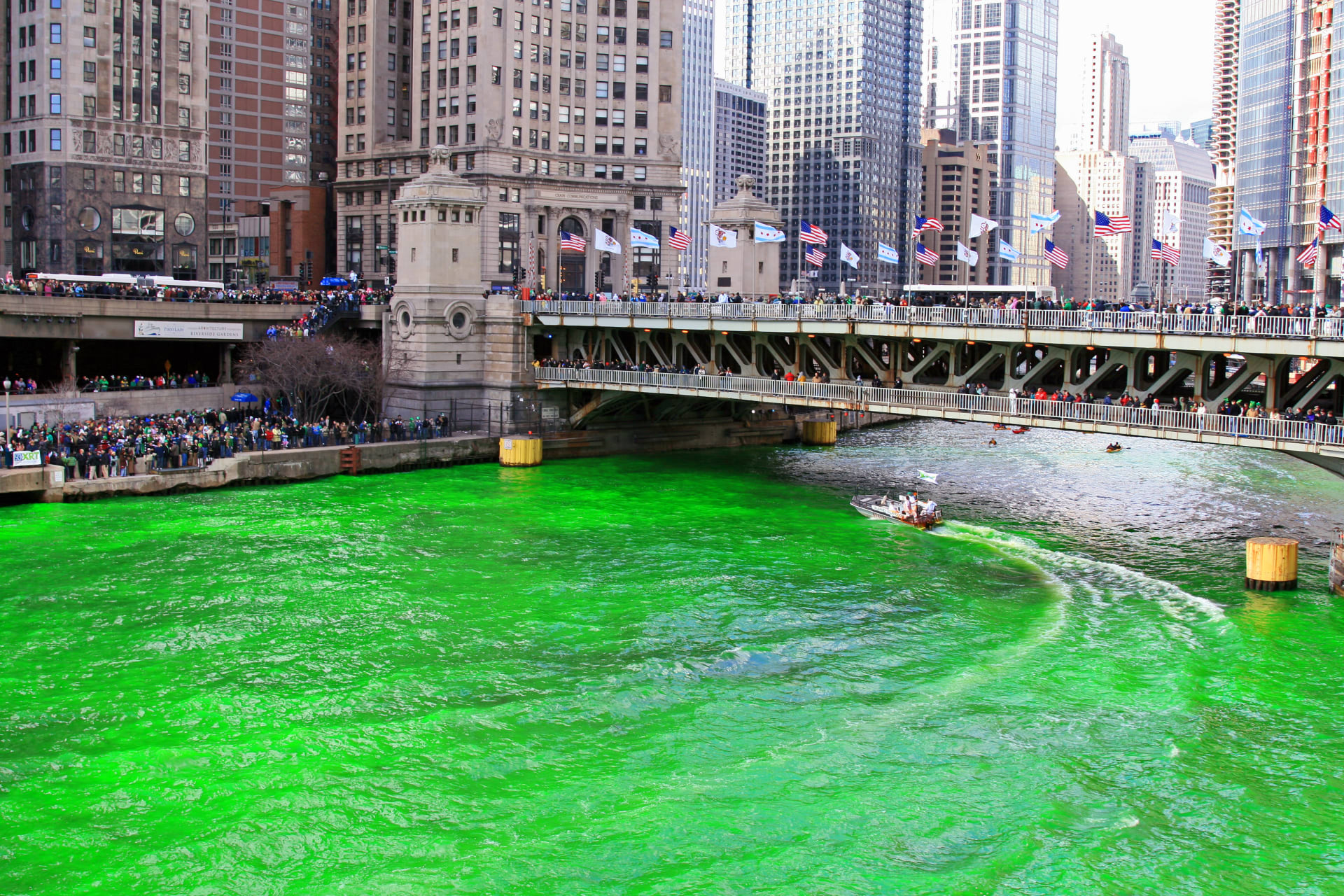 Chicago green river