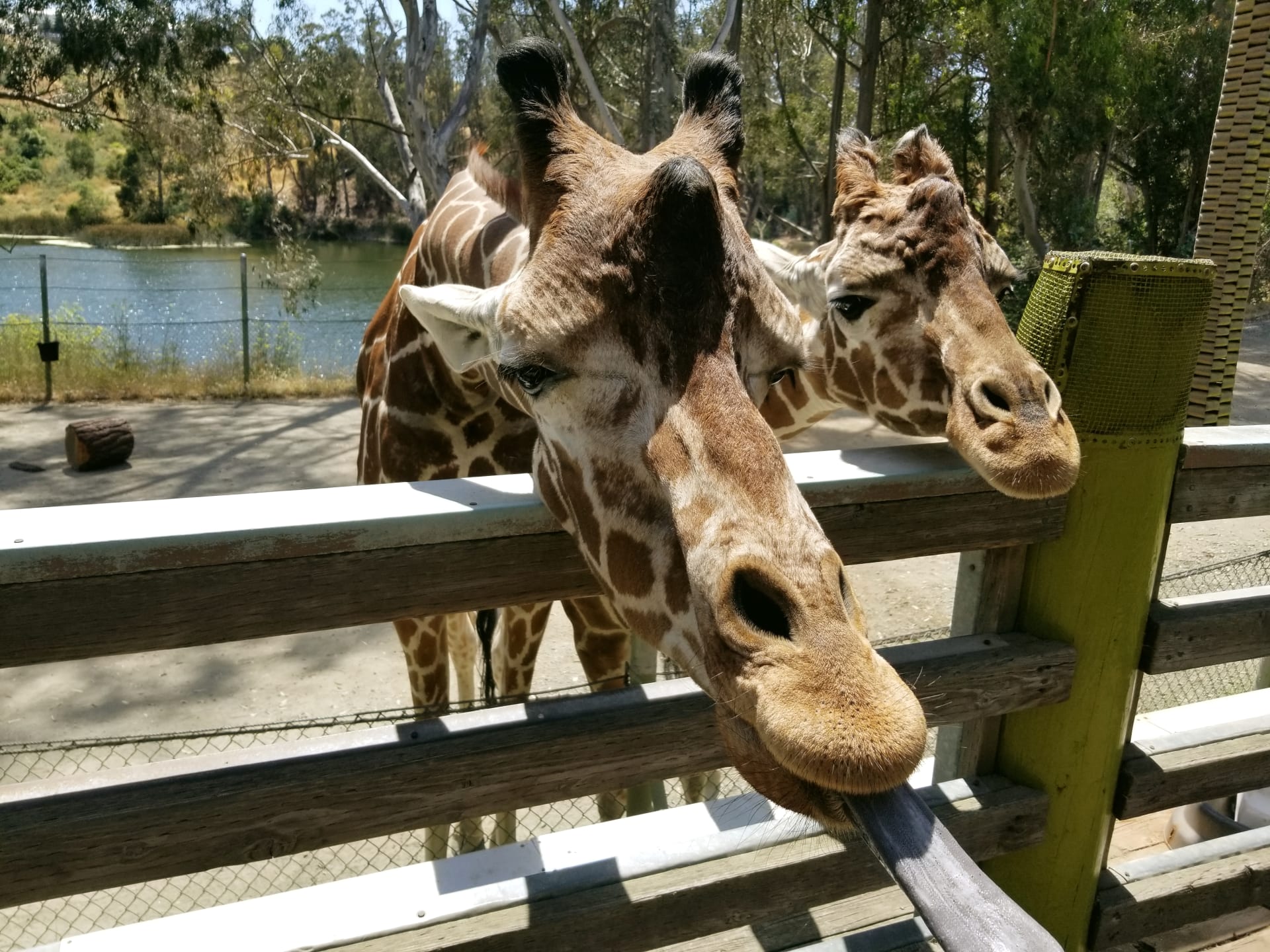 six-flags-discovery-kingdom