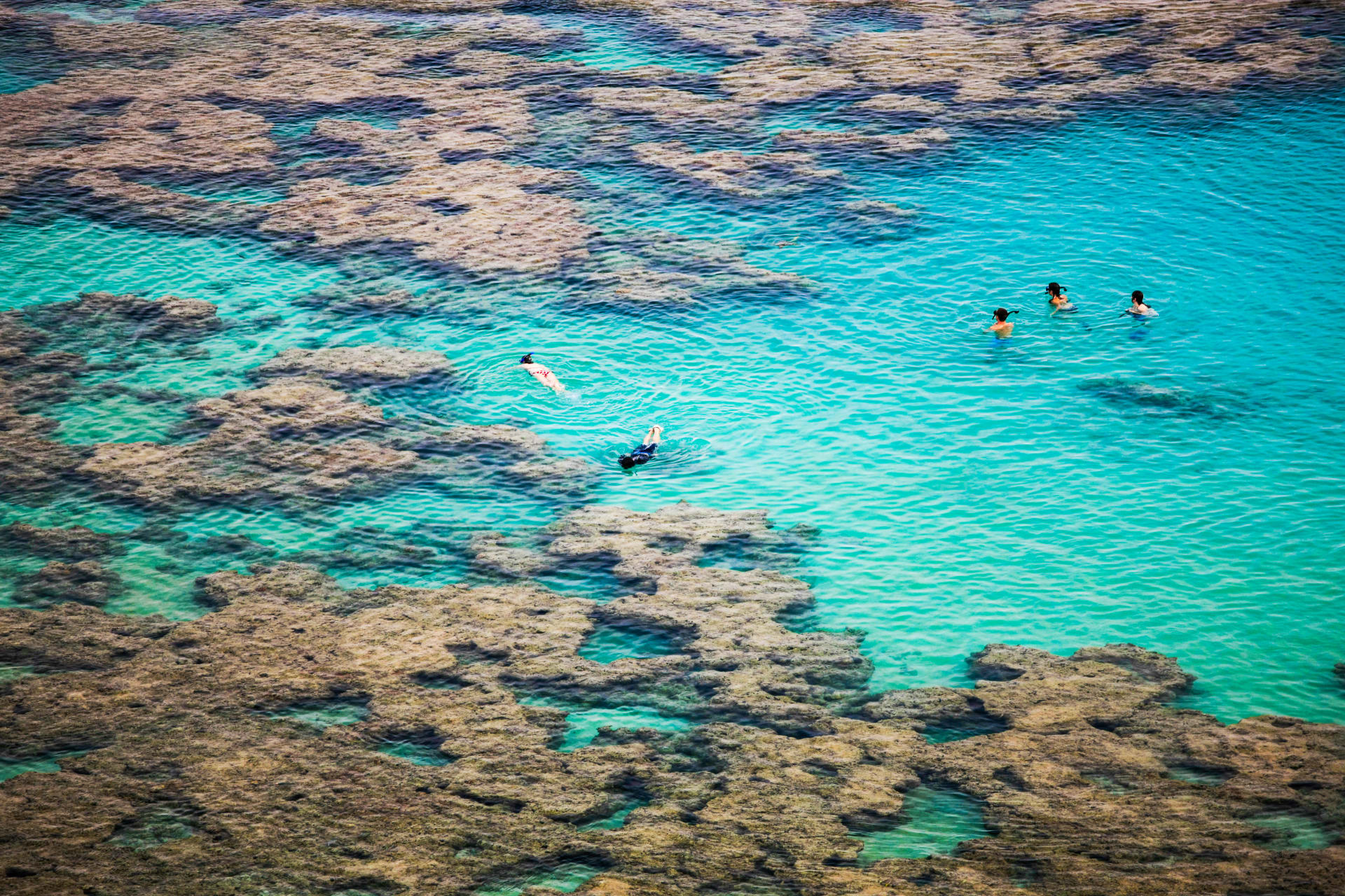 snorkelling-among-coral-reef-hanauma-bay