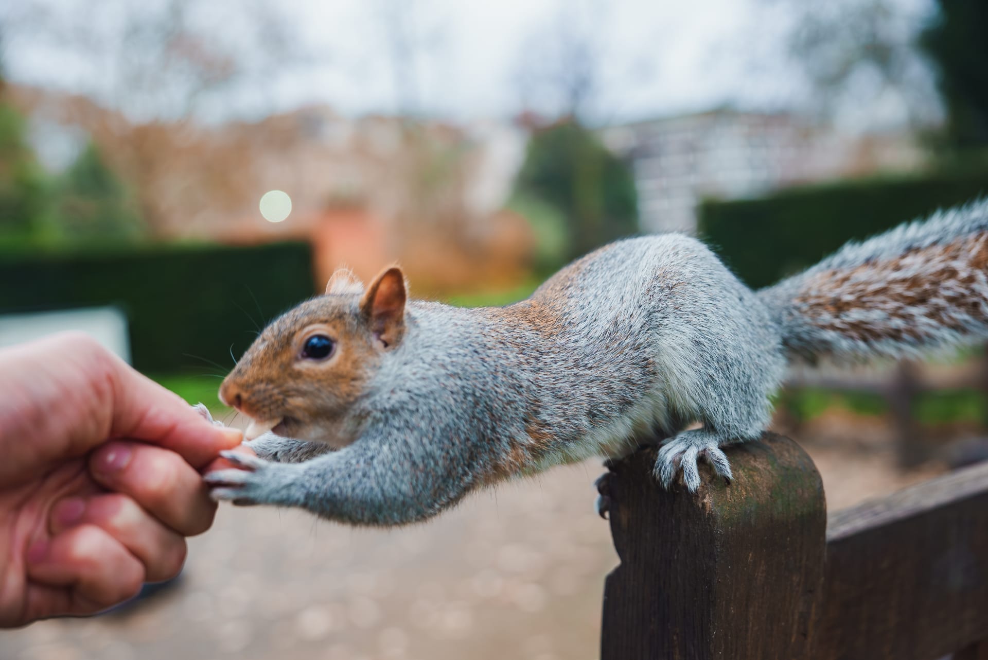 Greenwich Peninsula Ecology Park 