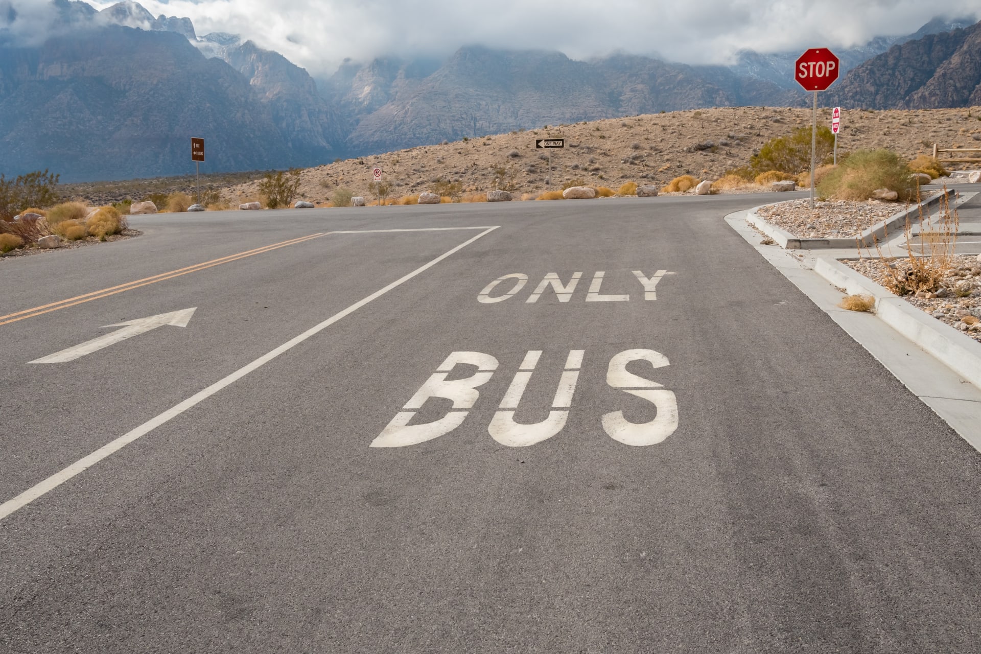 stop-sign-on-street-letters-reading