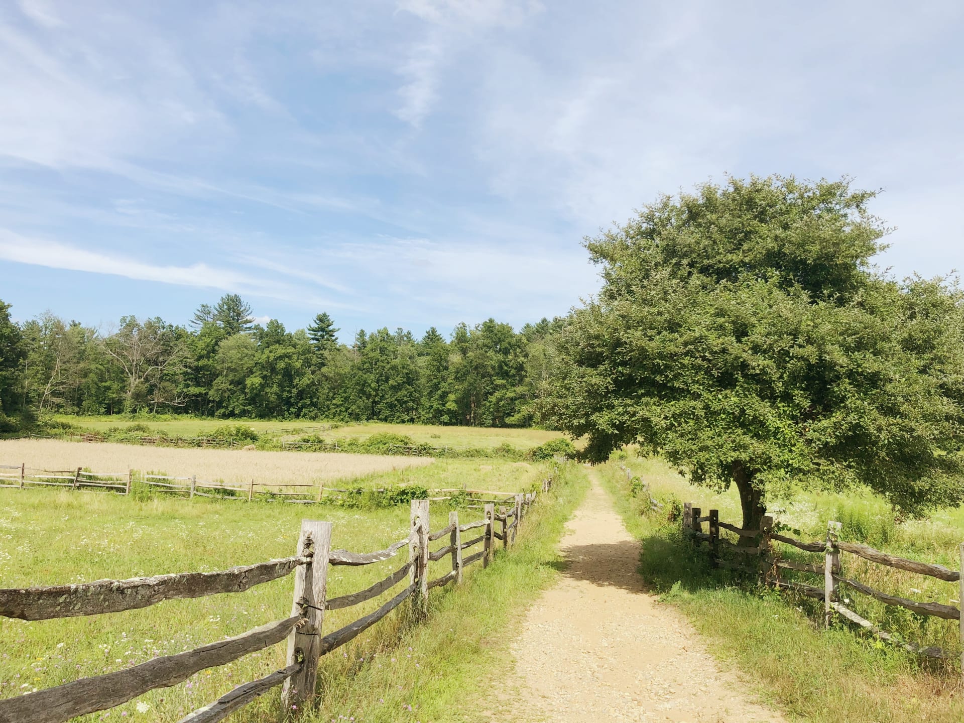 summer-old-sturbridge-village