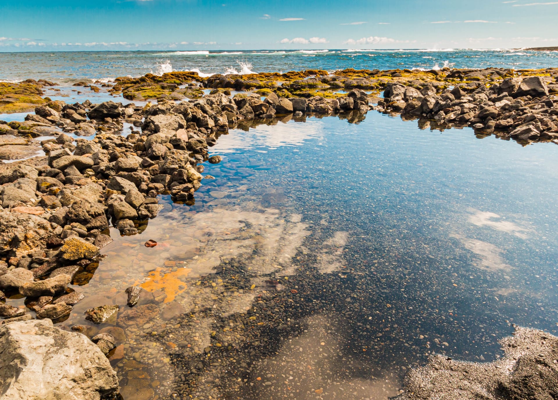 Observação de piscinas naturais no Cabrillo National Monument
