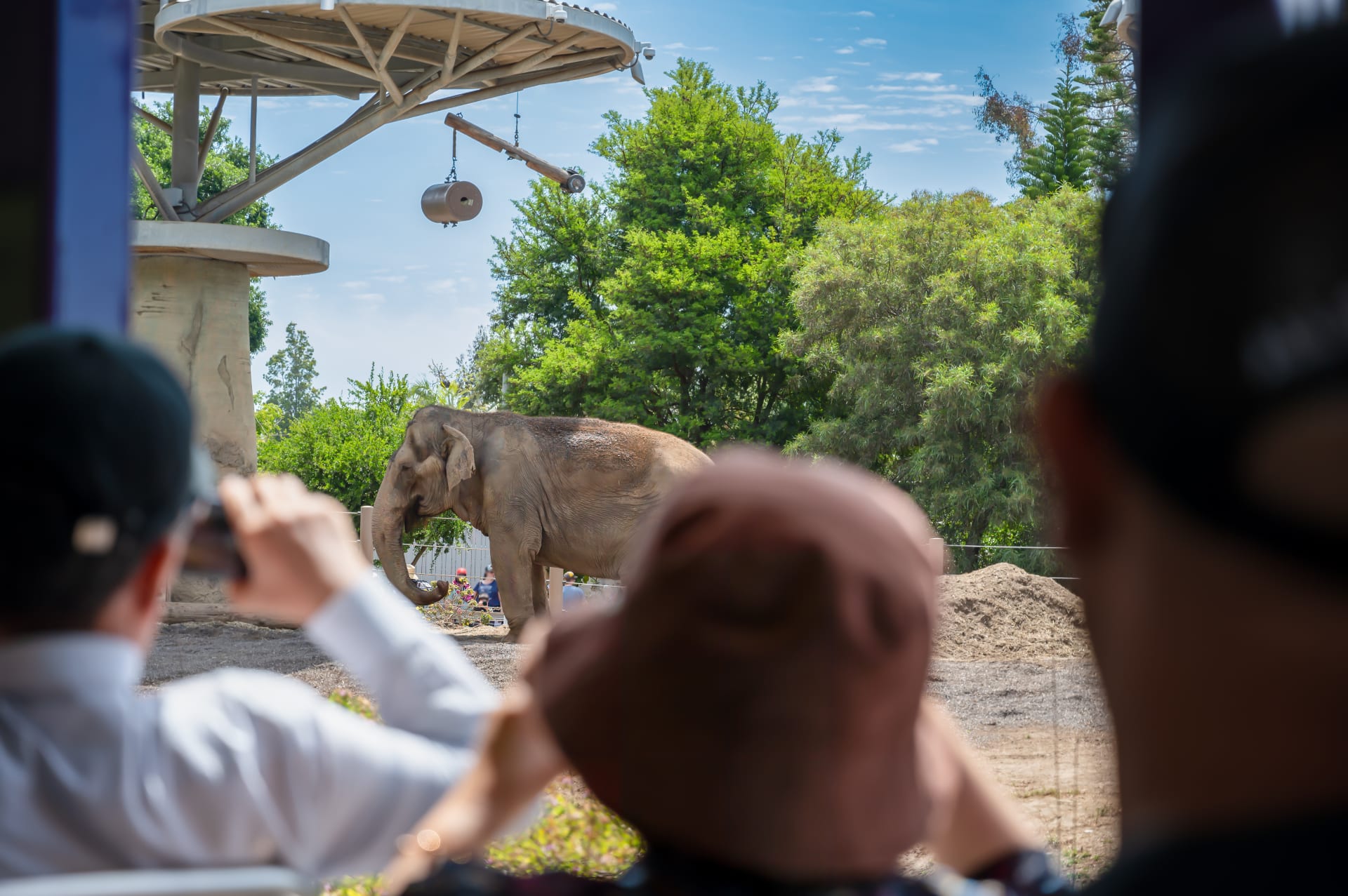 tourists-san-diego-zoo