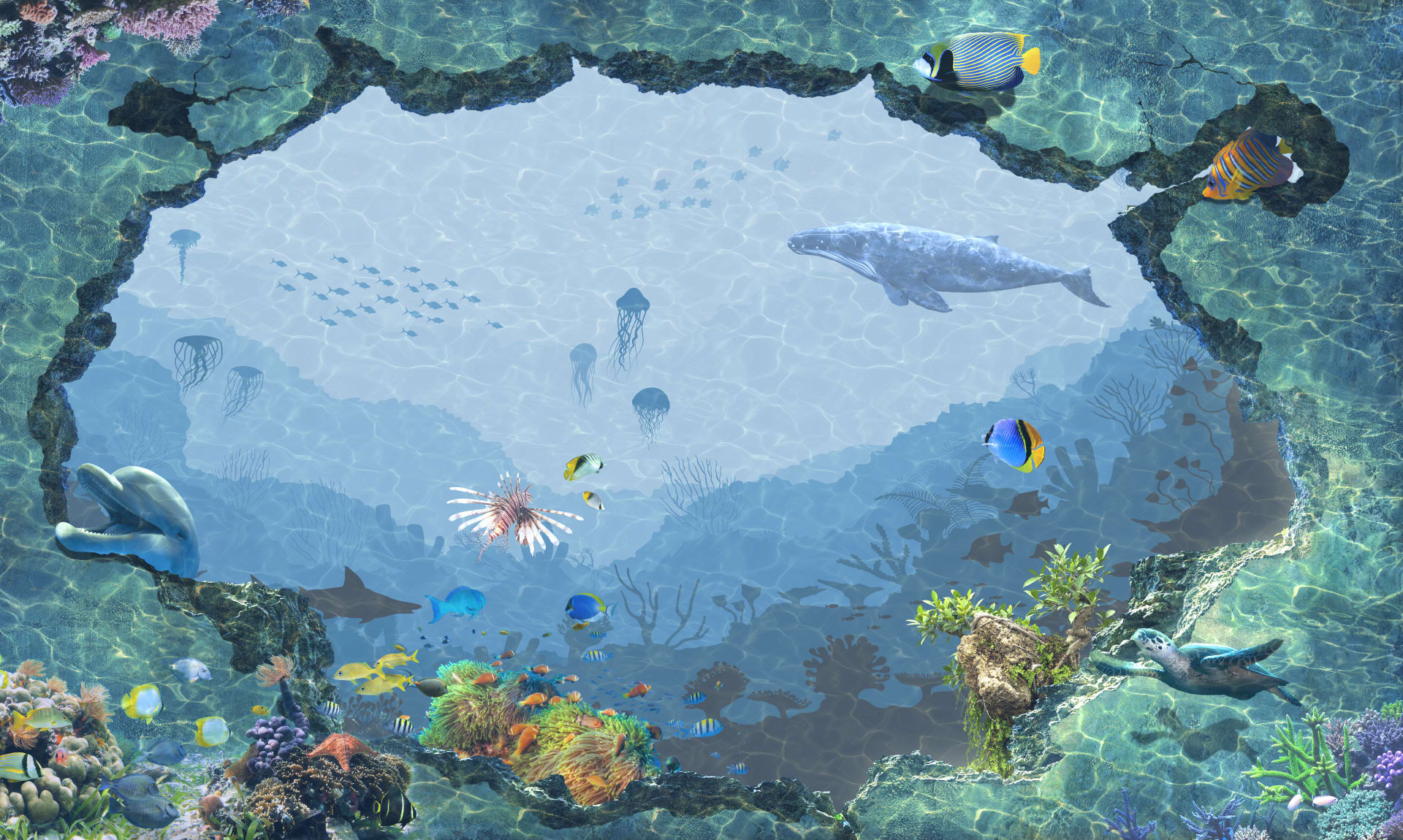 水下世界 —— 海龟、水母和鱼类