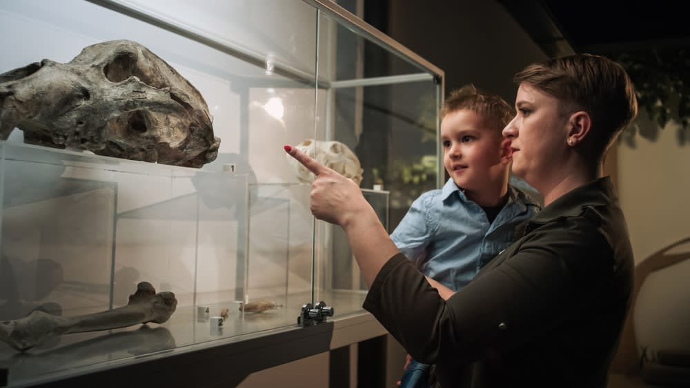 Things to Do in Las Vegas During the Day