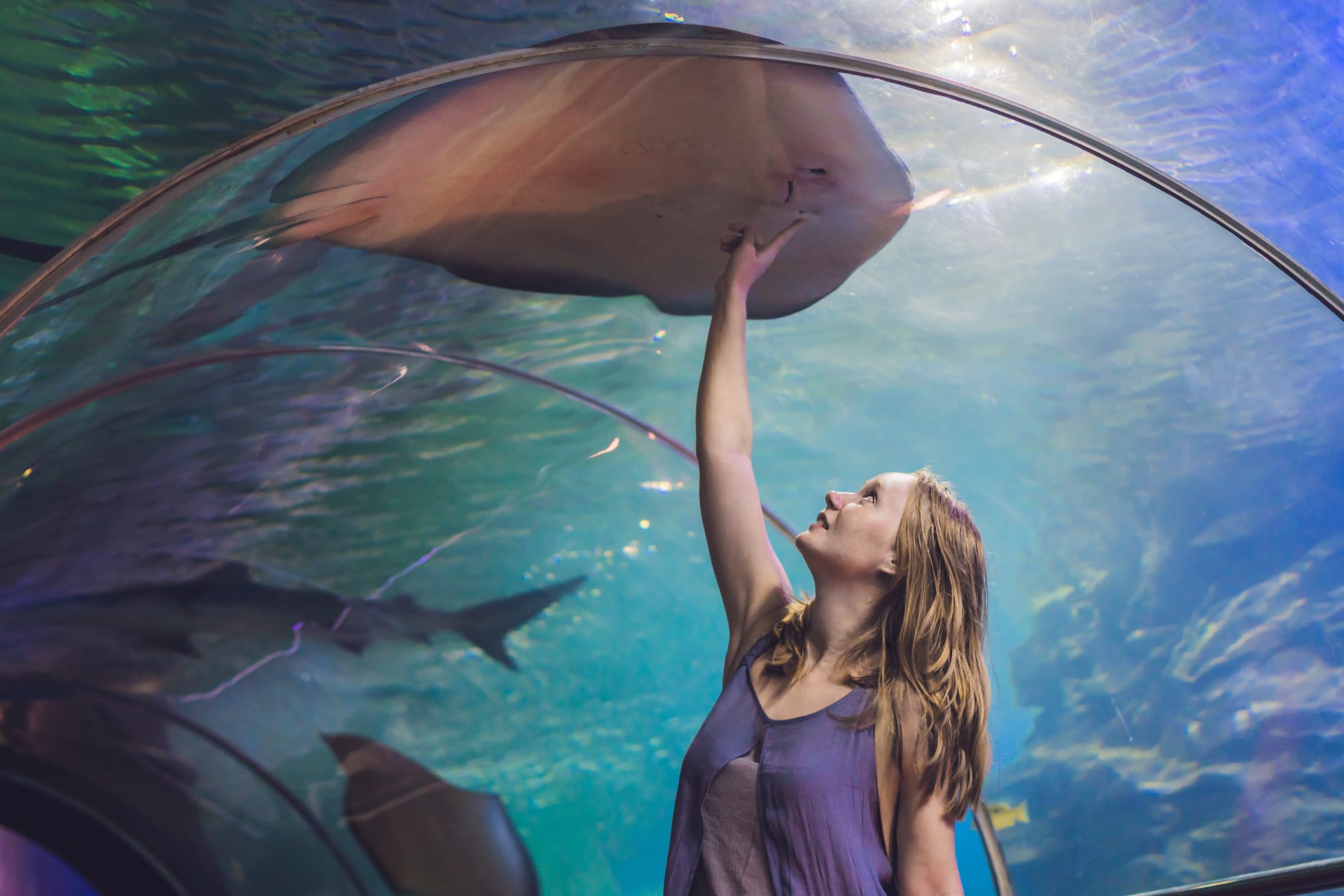 young-woman-touches-stingray-fish-oceanarium