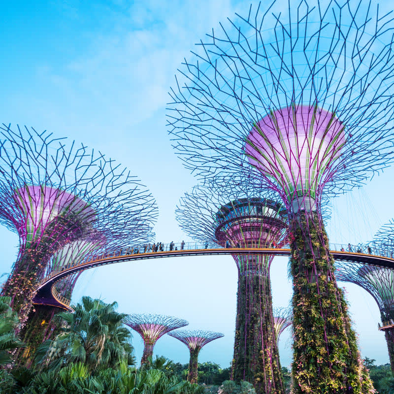 Gardens by the Bay