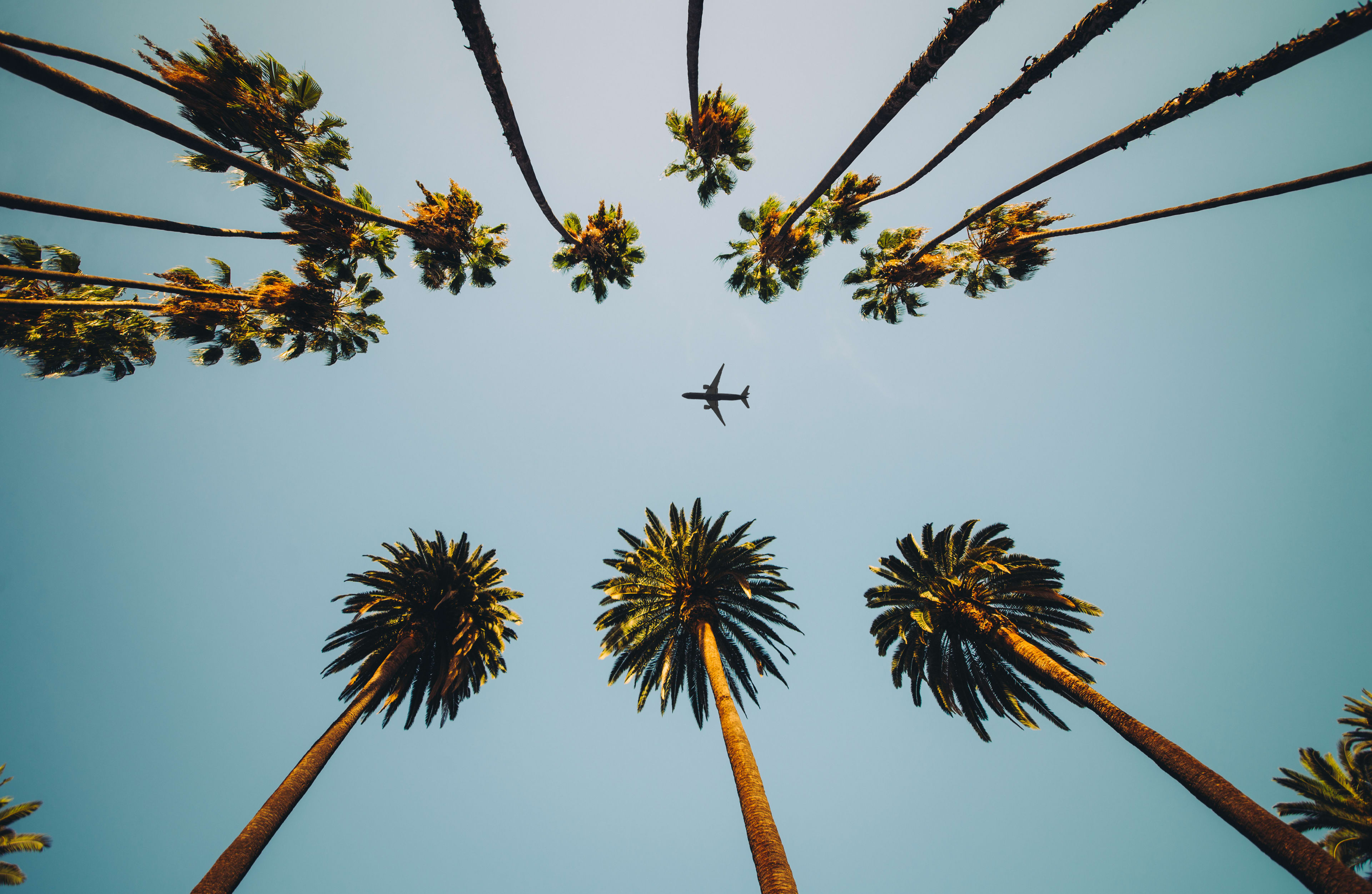 Plane into LAX