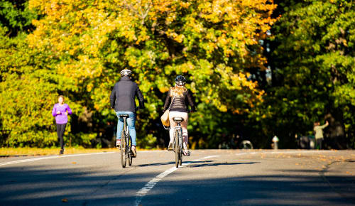 Central Park bike ride