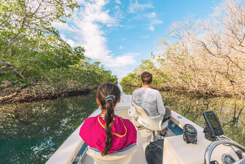 Everglades boat ride