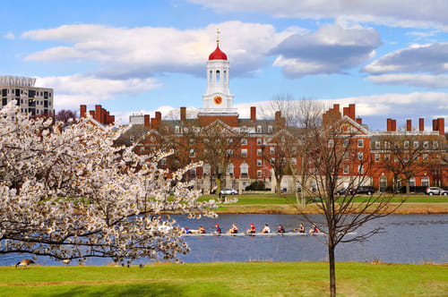 Harvard University in the springtime