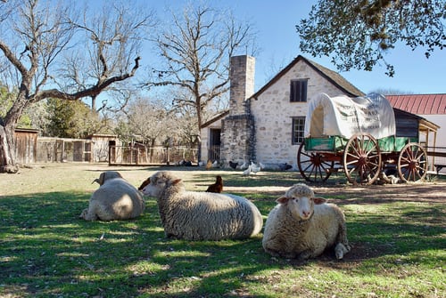 Ranch tour