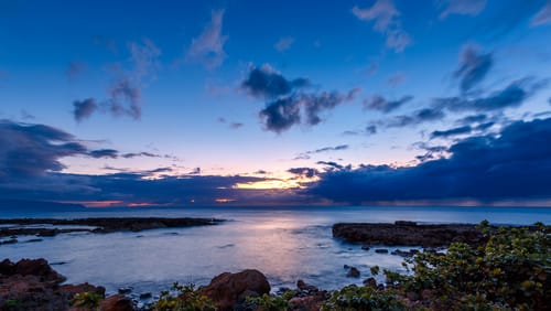 Shark Cove beach