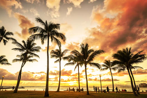 Waikiki sunset