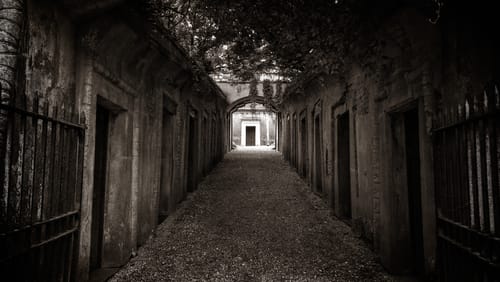 Highgate cemetery