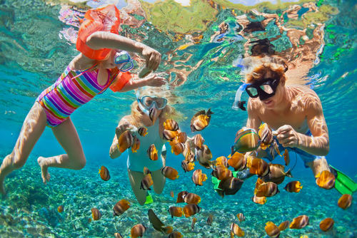 Snorkeling family