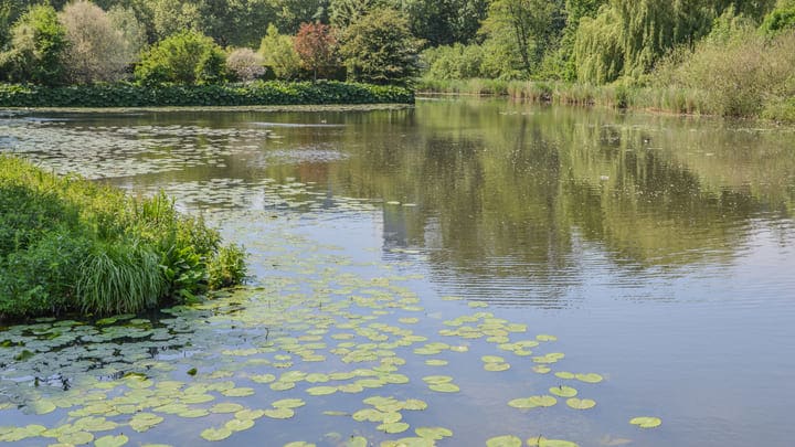 Estanque del Parque Amstel, Ámsterdam. Comparativa entre los mejores parques de Ámsterdam.