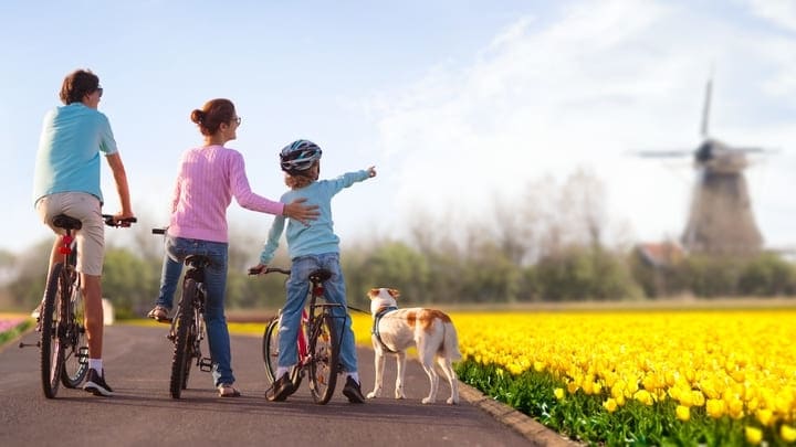 Familia con bicicletas en los campos de tulipanes de Keukenhof. Atracciones turísticas de Ámsterdam.