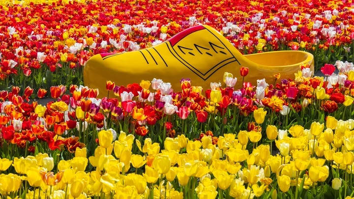 Giant clog sculpture among the flowers at Keukenhof