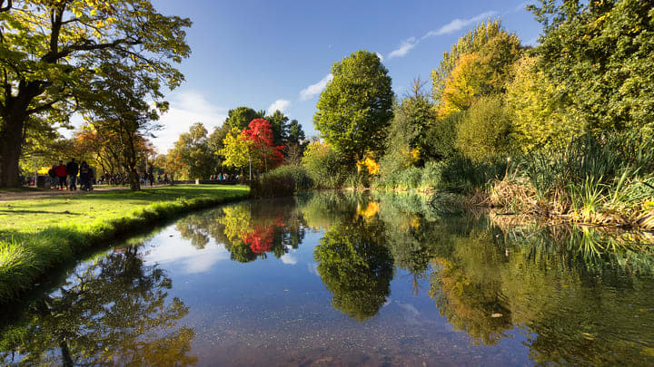 Vondelpark in autumn