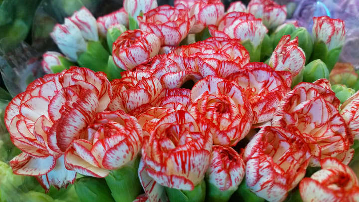 Beautiful flowers at the Bangkok Flower Market