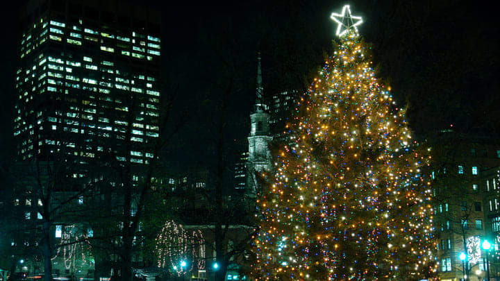Christmas tree in Boston Common