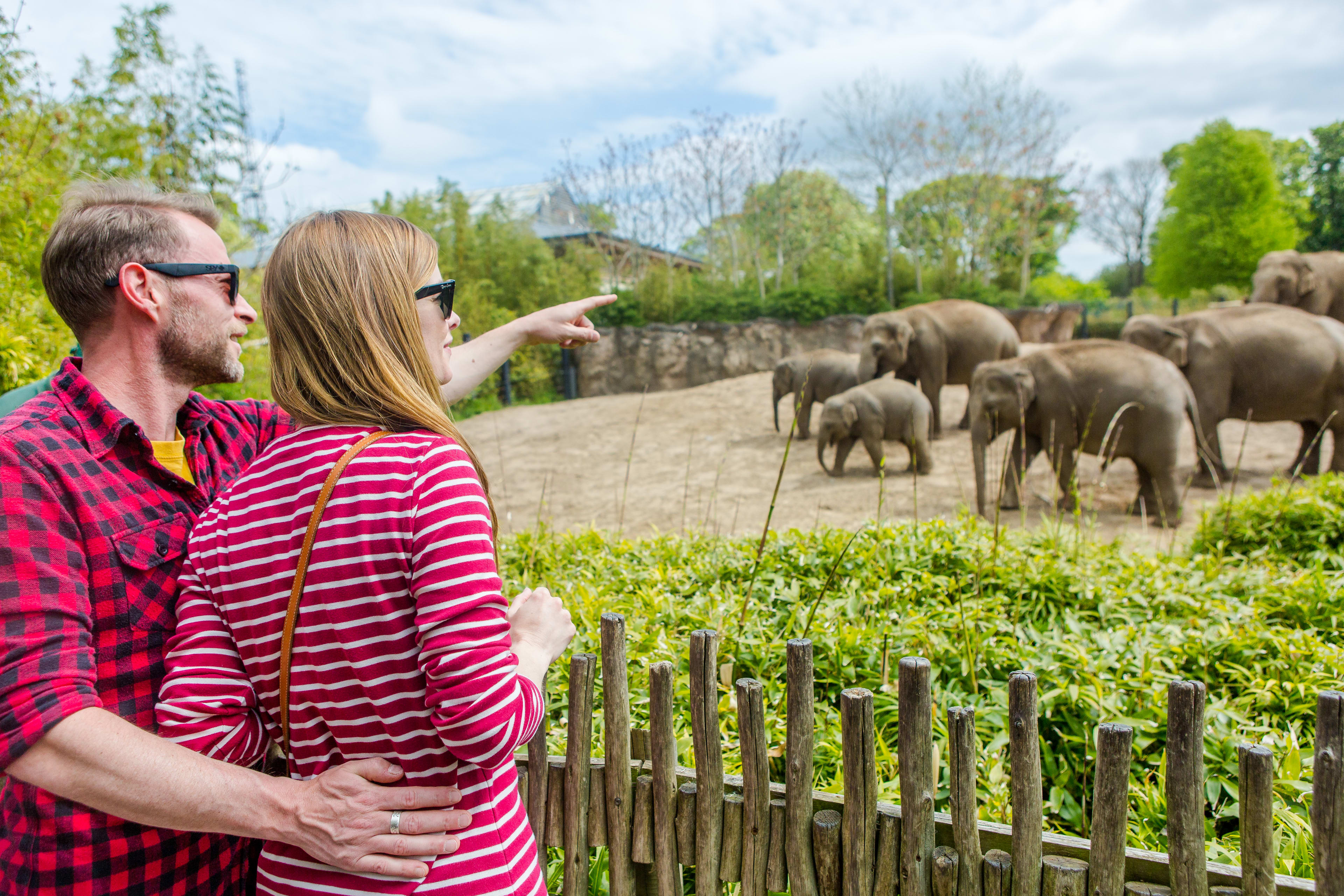 Zoo de Dublín. Cosas que ver con adolescentes en Dublín.