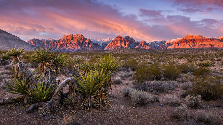 Red Rock Canyon in the Mojave Desert, Nevada