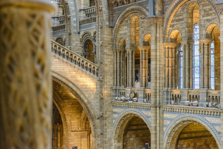 Museo de Historia Natural, Londres. Guía de Londres para bajos presupuestos.