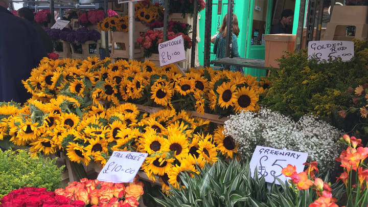 Mercado de Flores de Columbia Road. Las mejores atracciones de East London.