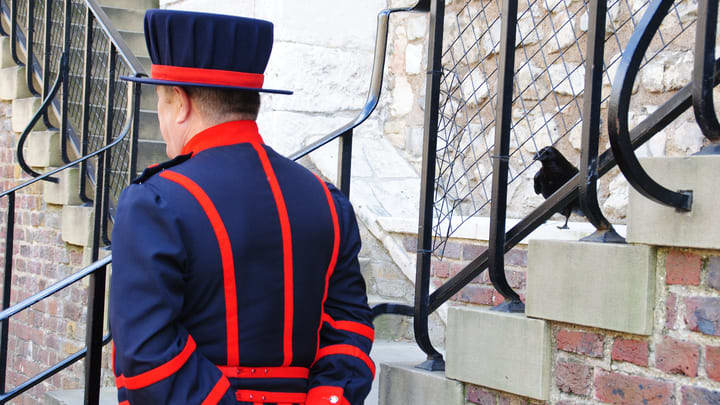 Beefeater (and raven) at the Tower of London