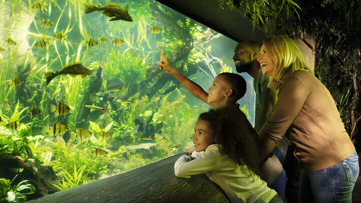 The Rainforest Adventure zone at SEA LIFE London Aquarium