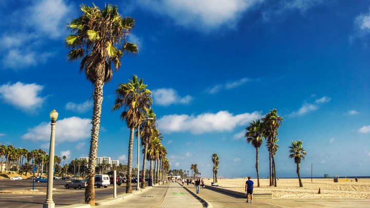 Venice Beach, Los Ángeles. Cosas que ver en Los Ángeles en 4 días.