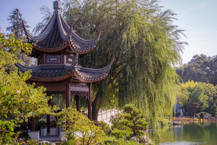 Jardín Botánico de Huntington Library, Los Ángeles. Las mejores galerías de arte de Los Ángeles.